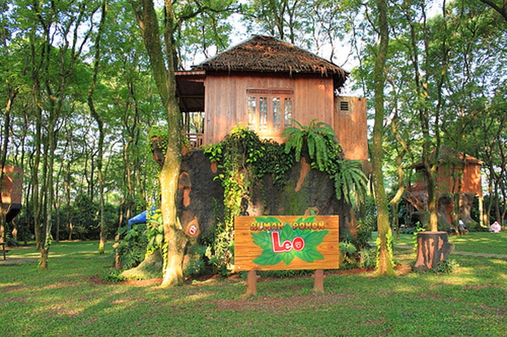 Best 5 amazing tree houses Indonesia tourism