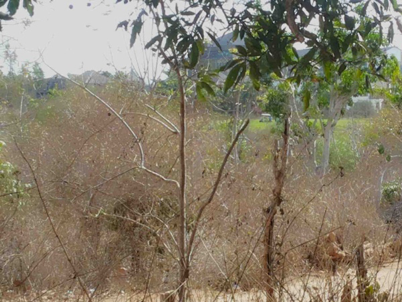 Leasehold land 3 are near Balangan Beach