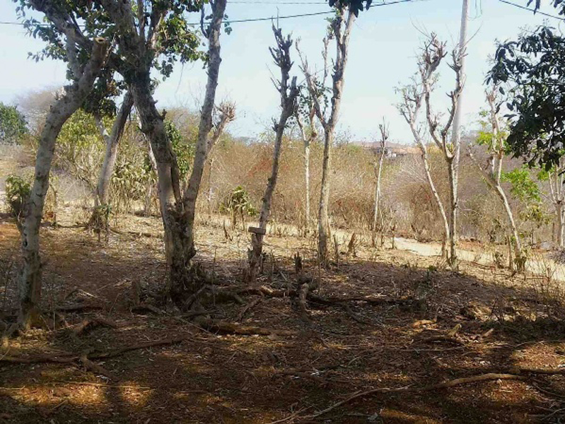 Leasehold land 3 are near Balangan Beach