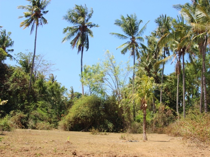 Beachfront land for sale in Padang Bai East of Bali