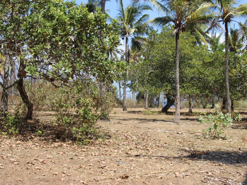 Beachfront land for sale in Padang Bai East of Bali