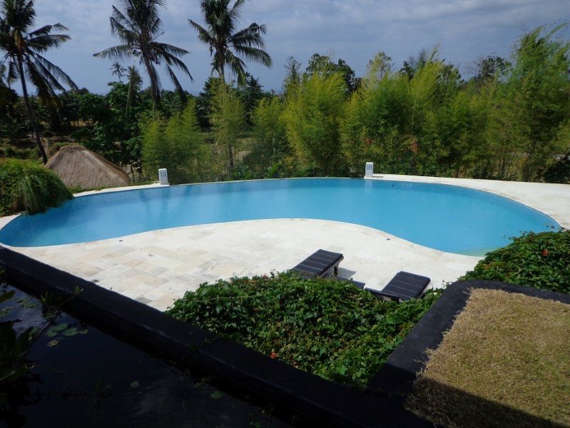 Luxurious Five Bedrooms Freehold Villa for Sale in Canggu