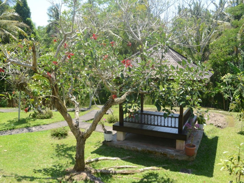 Magnificent 3 Bedrooms Freehold Real Estate With Amazing Views For Sale in Ubud