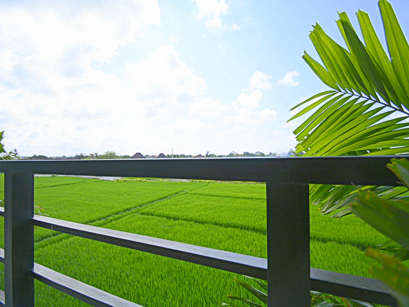 Great real estate with amazing view for sale in Canggu