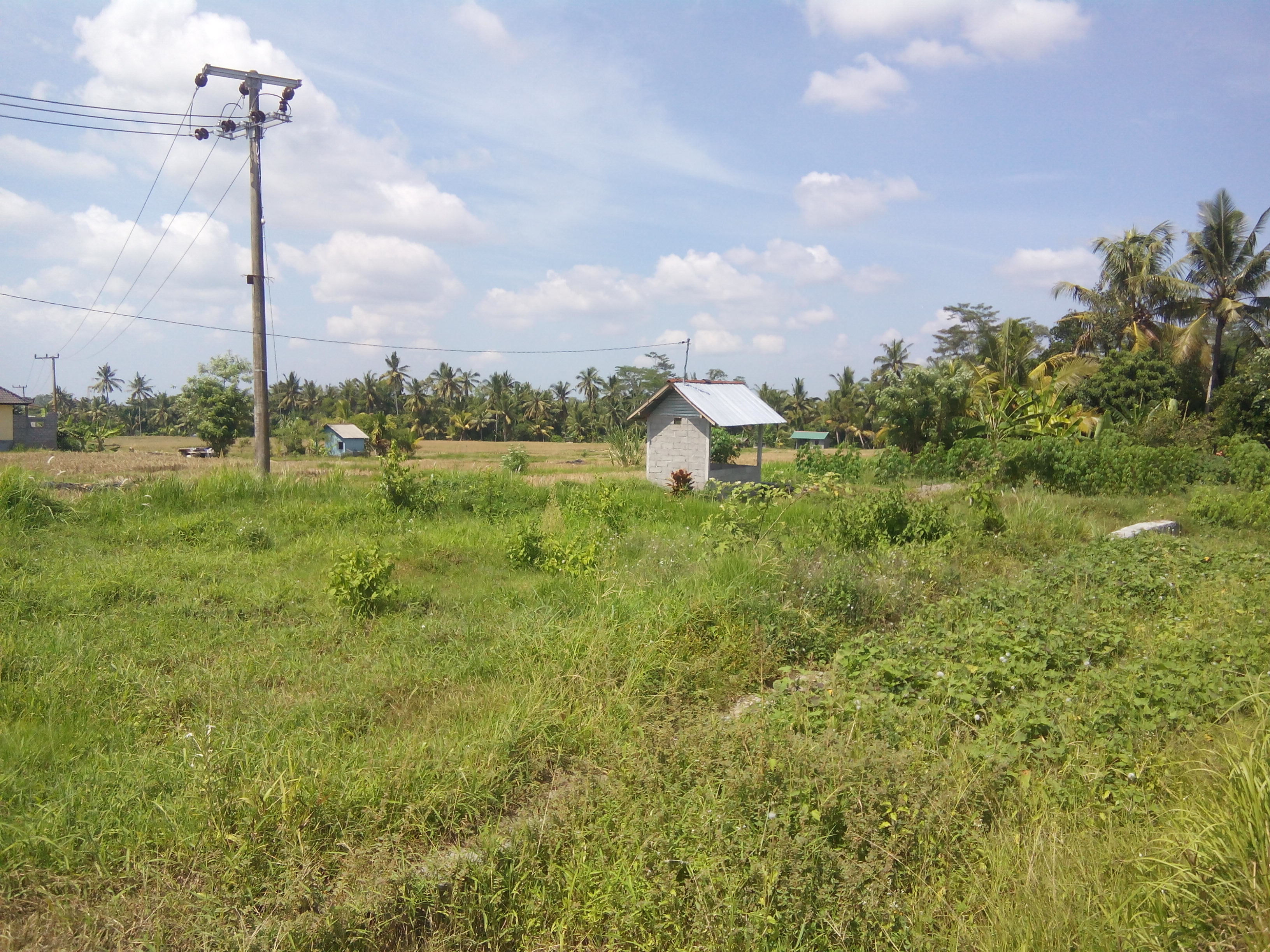 19 ara freehold 5 minutes from ubud centre