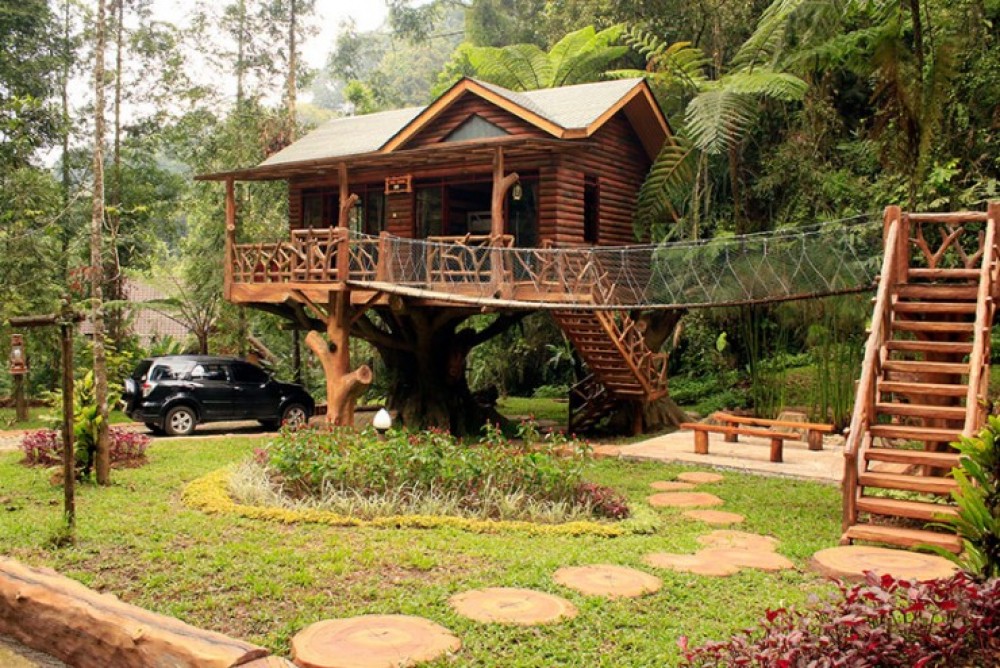 taman safari tree house