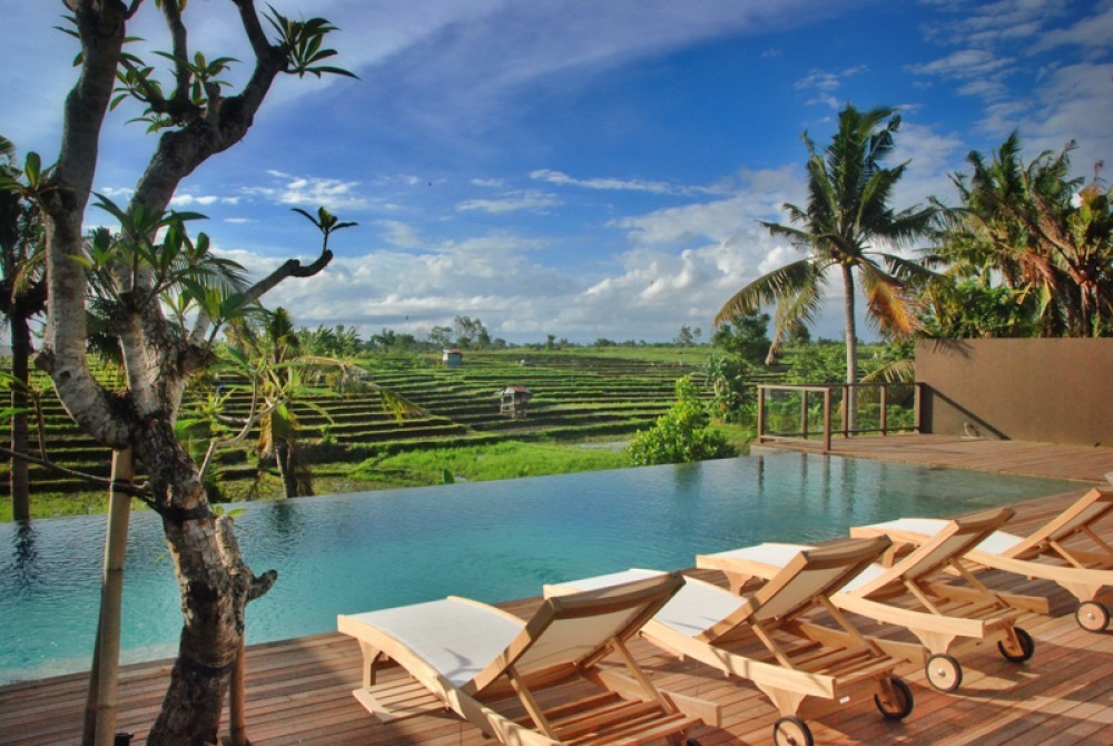 Free hold Canggu villas