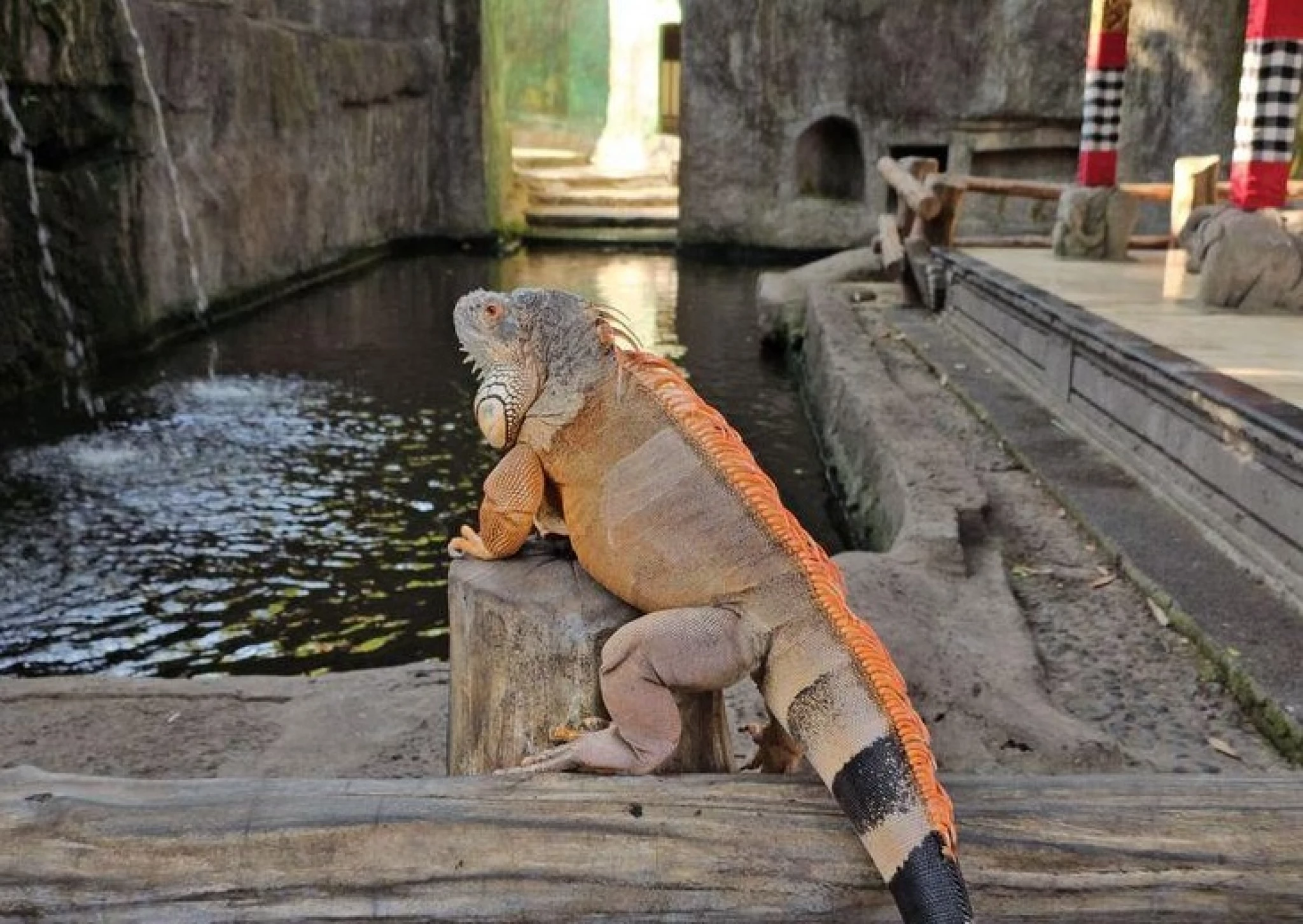 Bali Reptile Park - Gianyar