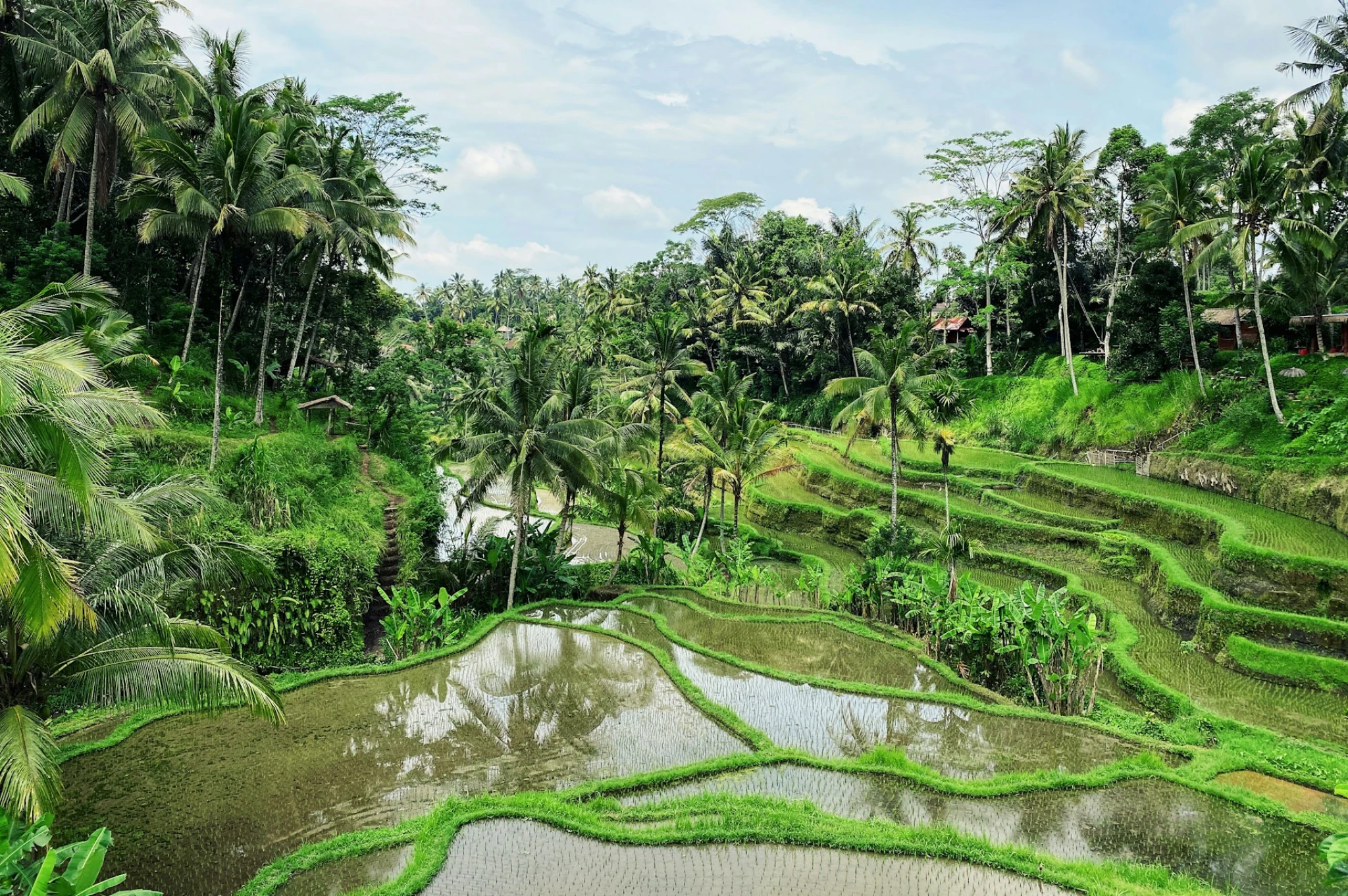 keindahan ubud