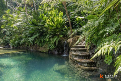 le problème de l'eau à bali s'aggrave : quel impact du tourisme sur l'île ?