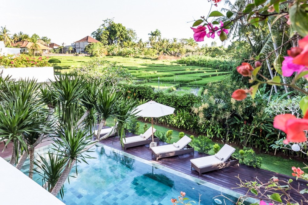 Amazing two level freehold  villa for sale in Canggu