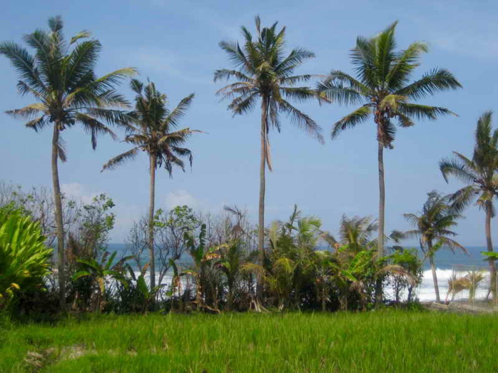 Beautiful Beachfront Land in Tabanan
