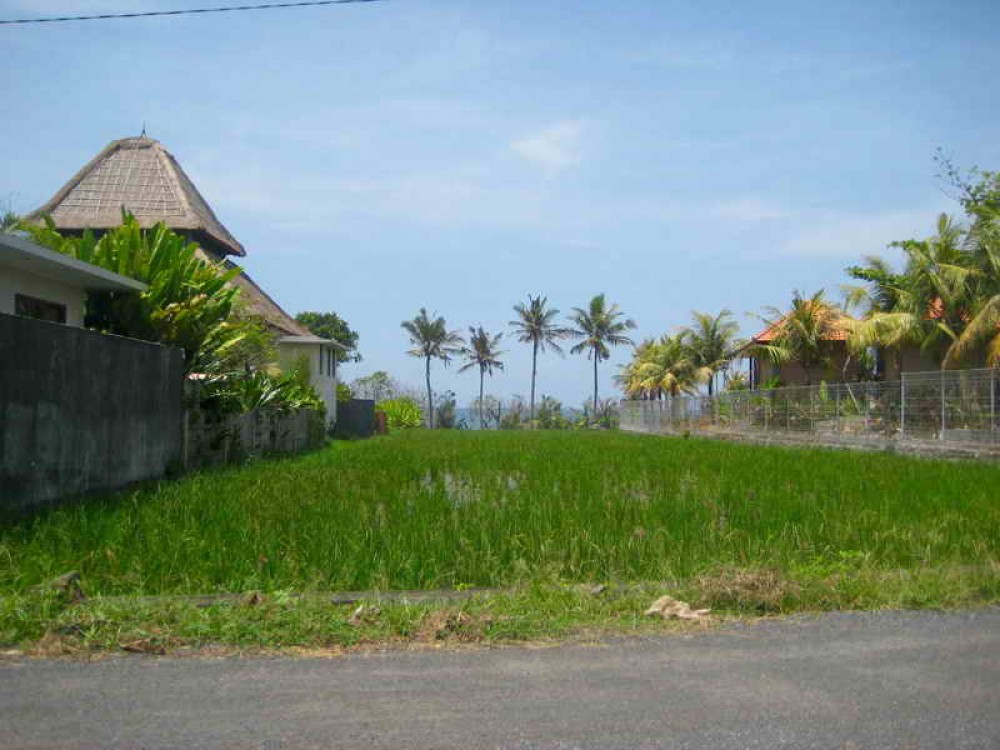 Beautiful Beachfront Land in Tabanan