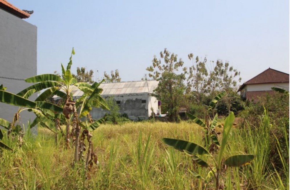 Small Freehold Land in Pererenan Canggu