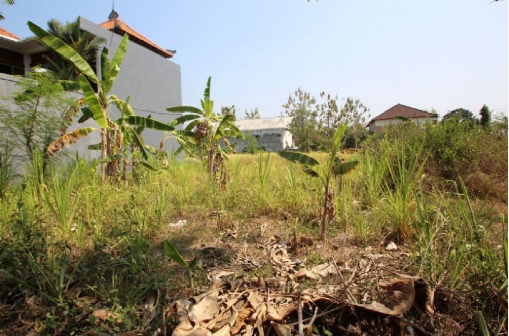 Small Freehold Land in Pererenan Canggu