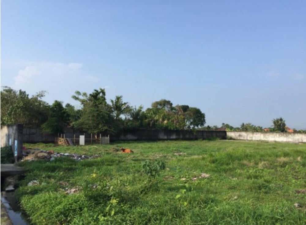 6 Are Main Road Freehold Land in Canggu