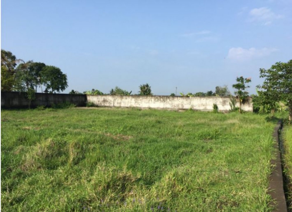 6 Are Main Road Freehold Land in Canggu