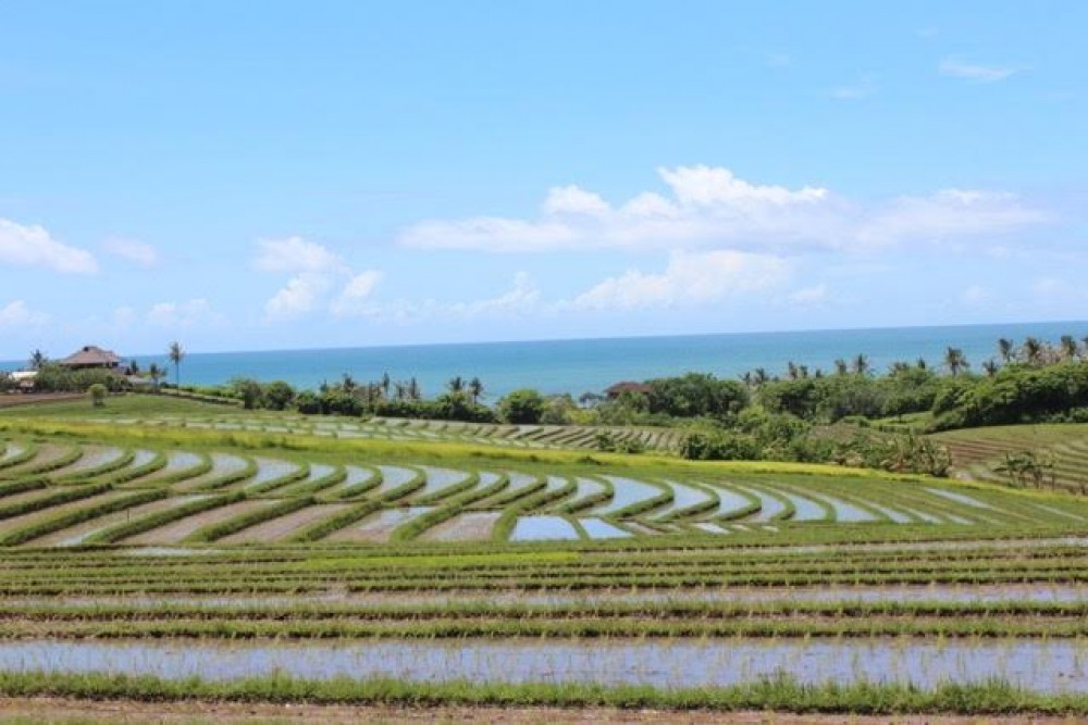 Wonderful land in Tabanan area 