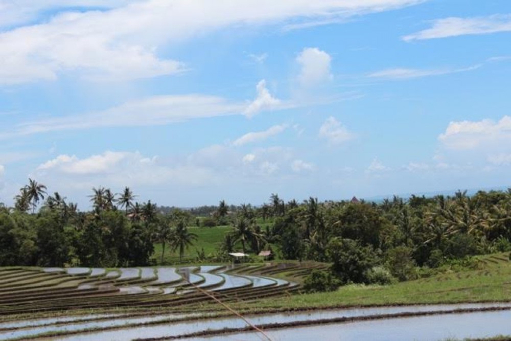 Wonderful land in Tabanan area 