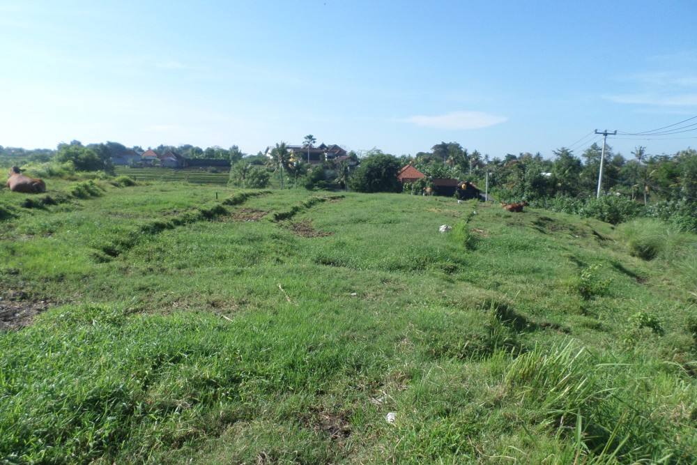 Nice shape land in Kaba- Kaba 48 are 