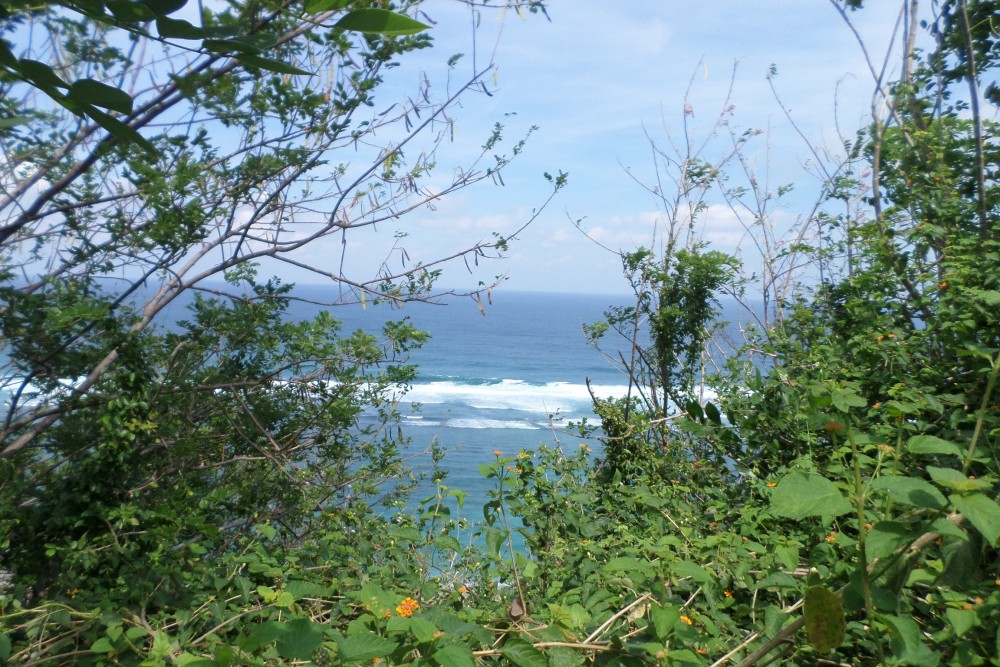 Beautiful cliff land with ocean view in Pandawa 