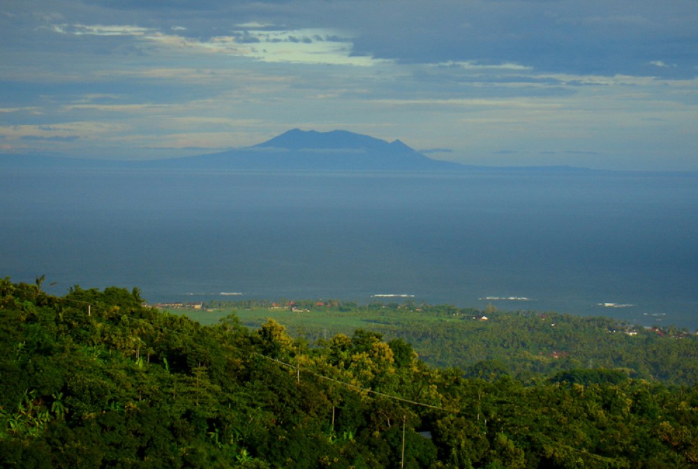 Exquise éco-Villa à vendre à North Bali