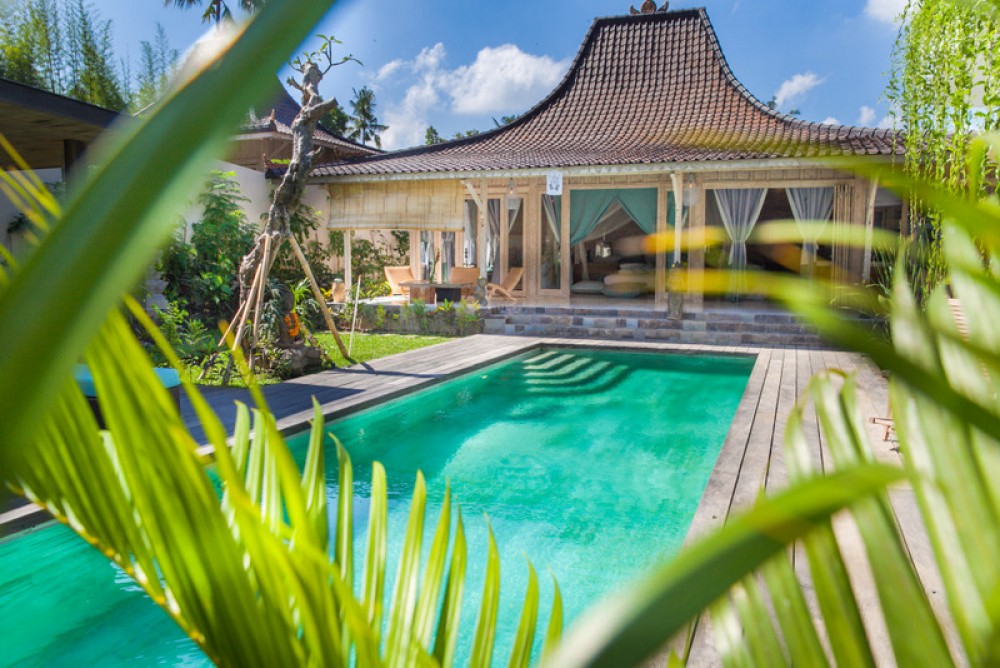 BRAND NEW JOGLO 2 BEDROOMS IN UBUD