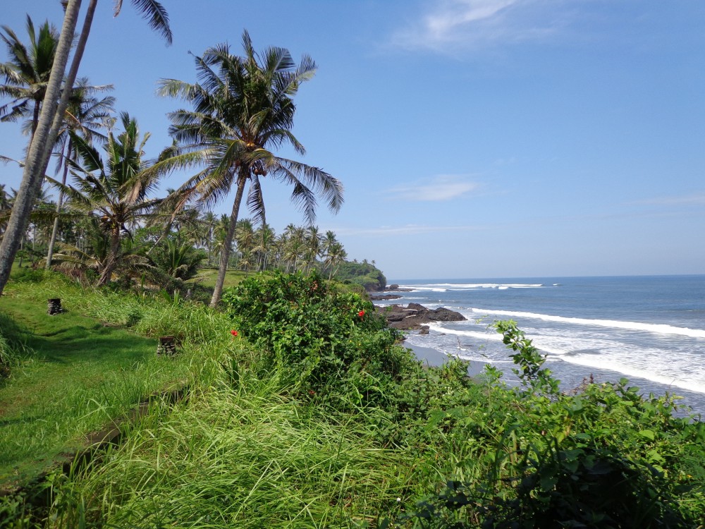 Ocean view land for sale in Tabanan
