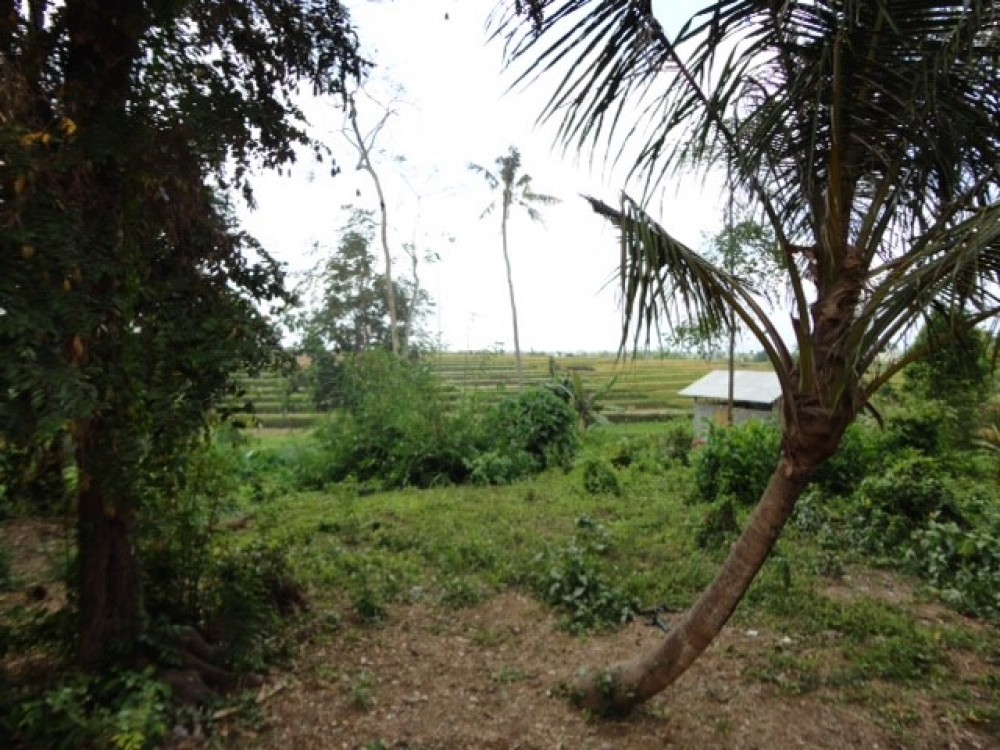 Great land with double access and beautiful view thru rice fields 