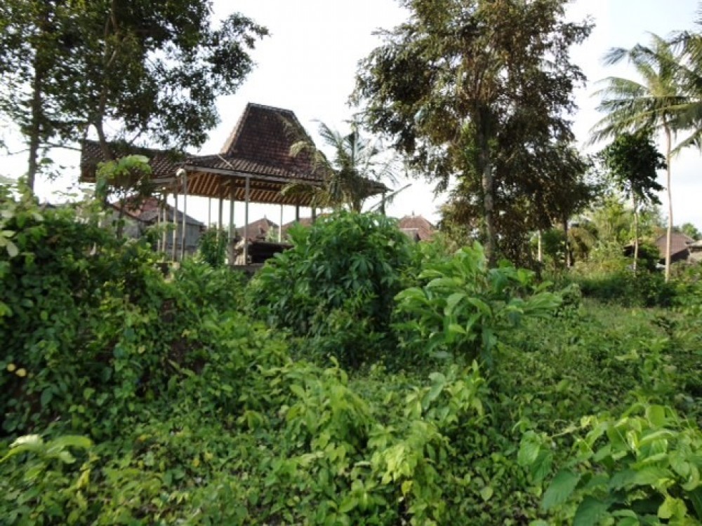 Tanah besar dengan double akses dan pemandangan indah melalui sawah