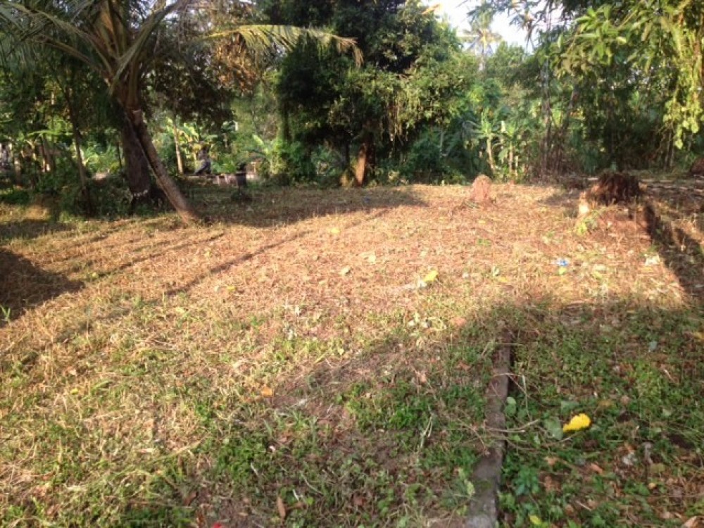 Tanah besar dengan double akses dan pemandangan indah melalui sawah