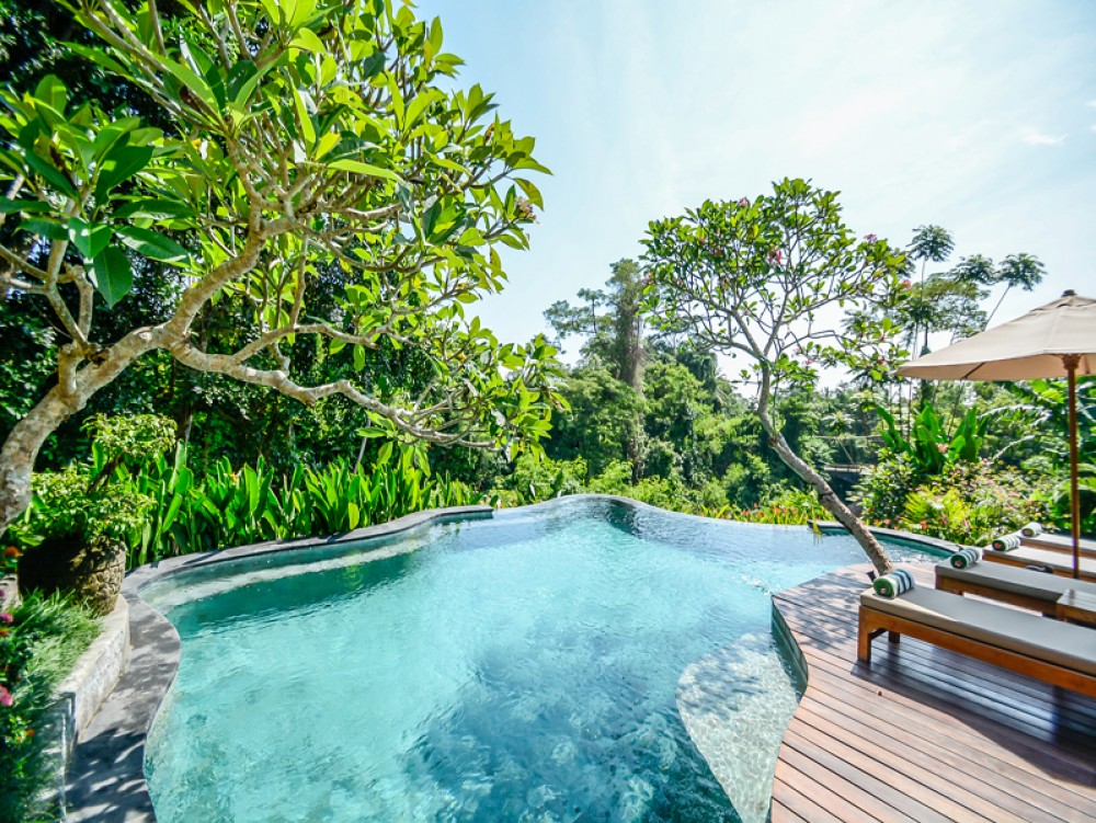 Villa cantik dengan pemandangan hutan dan sungai