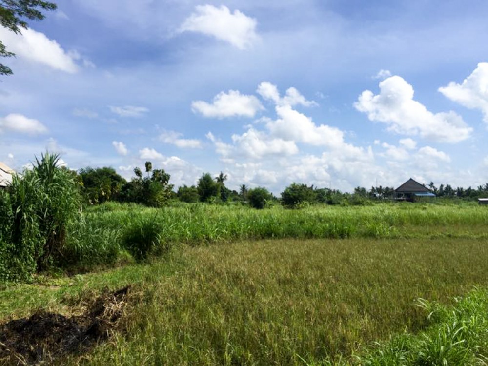 Spacious freehold land is located in a quiet area of Gianyar