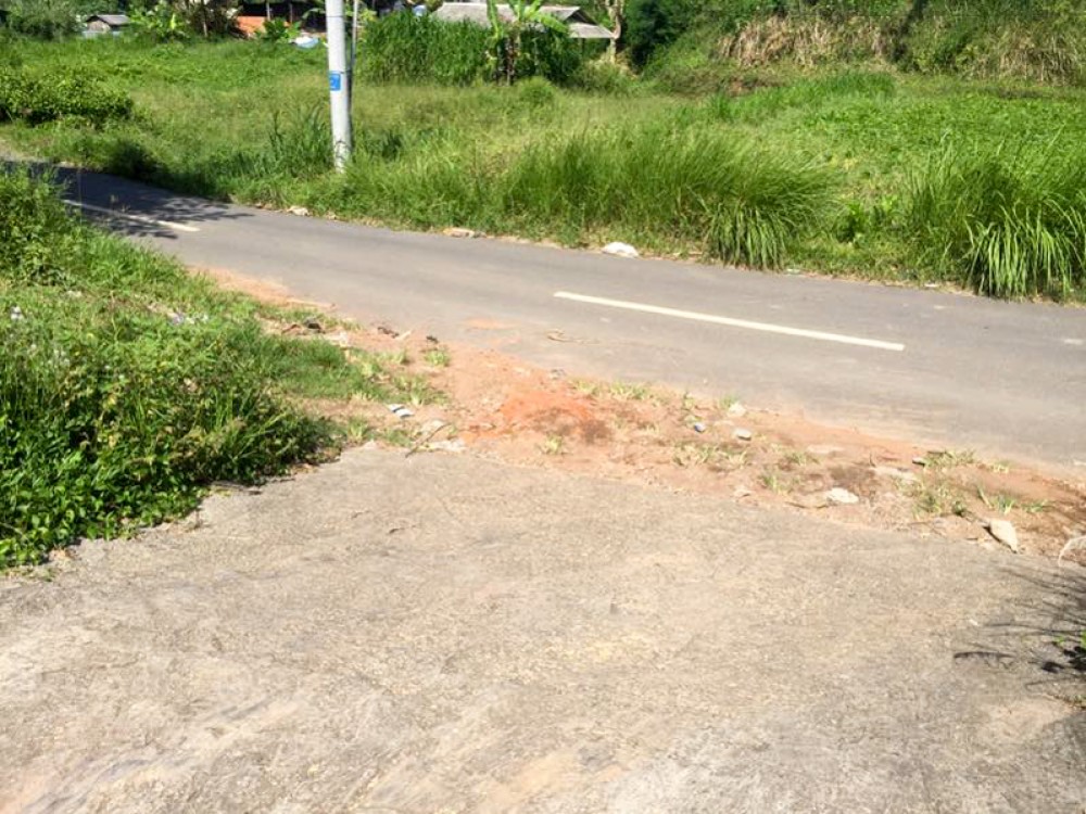 Terrains spacieux à vendre à Gianyar