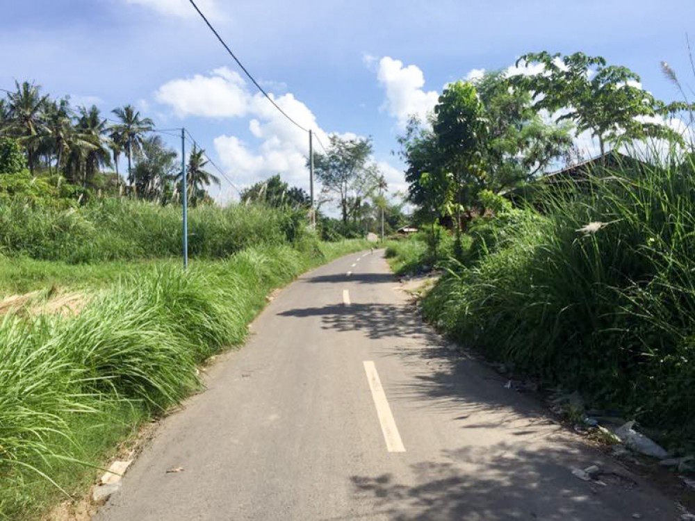 Spacious freehold land is located in a quiet area of Gianyar