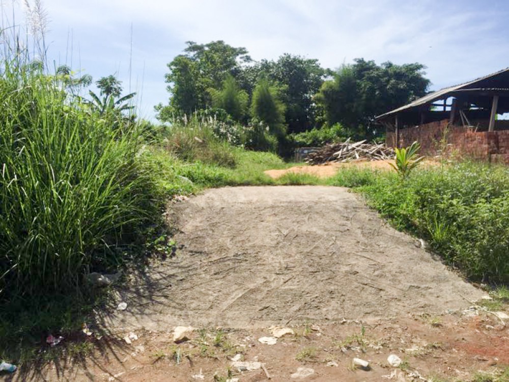 Spacious freehold land is located in a quiet area of Gianyar