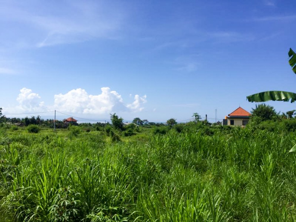 Terrains spacieux à vendre à Gianyar