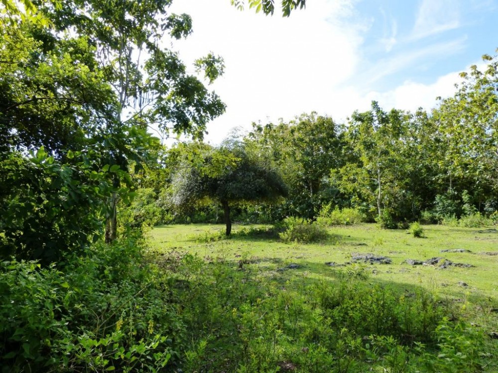 Freehold land with great view for sale in Balangan