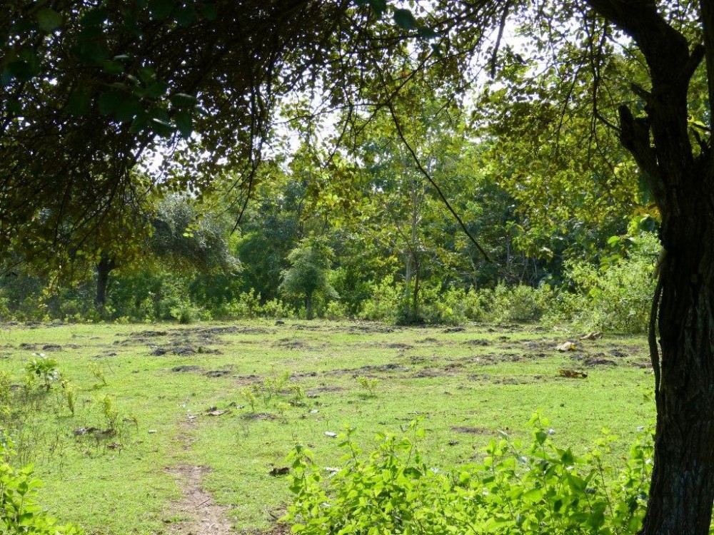 Terrains avec vue magnifique à vendre à Balangan