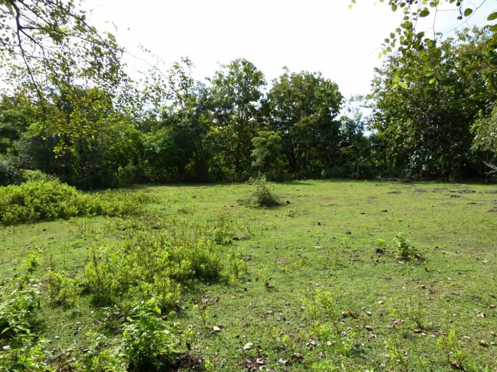 Freehold land with great view for sale in Balangan