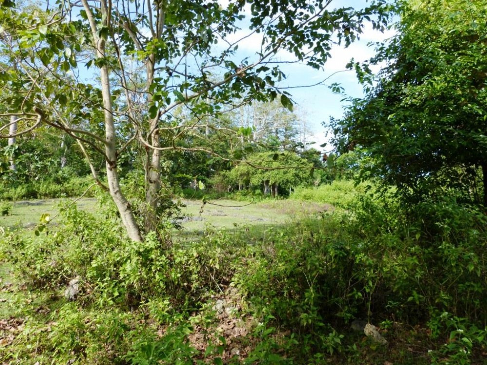 Freehold land with great view for sale in Balangan