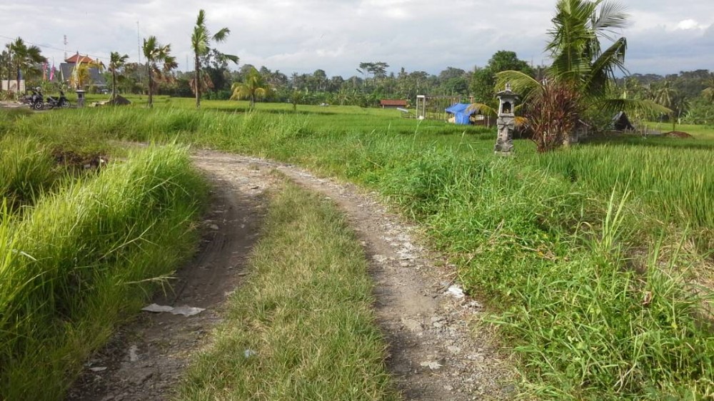 Terrains spacieux à vendre à Gianyar