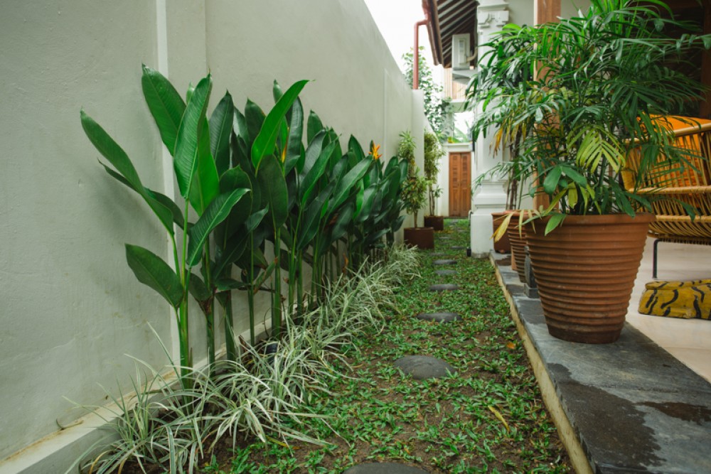 Tropical brand new three bedrooms villa for sale in Sanur