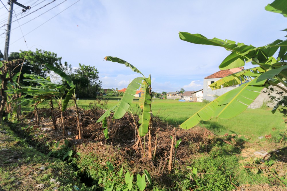 Amazing freehold land for sale in Tegal Cupek