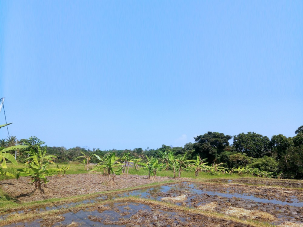 Tanah kosong Hak Milik yang unik dengan pemandangan indah