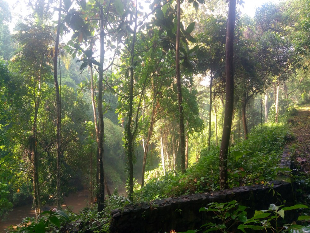  Tanah kosong Hak Milik yang unik dengan pemandangan sungai dan hutan