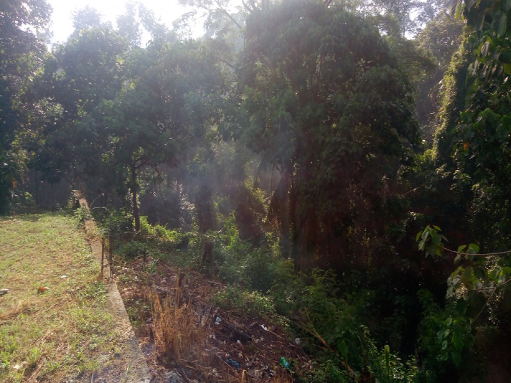  Tanah kosong Hak Milik yang unik dengan pemandangan sungai dan hutan