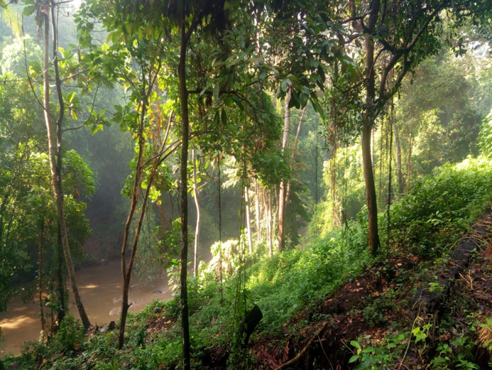  Tanah kosong Hak Milik yang unik dengan pemandangan sungai dan hutan