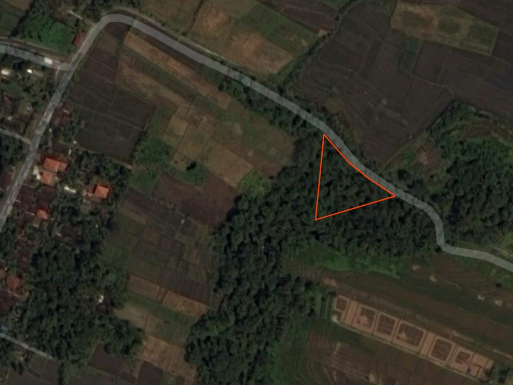 Residential freehold land for great price in Tabanan