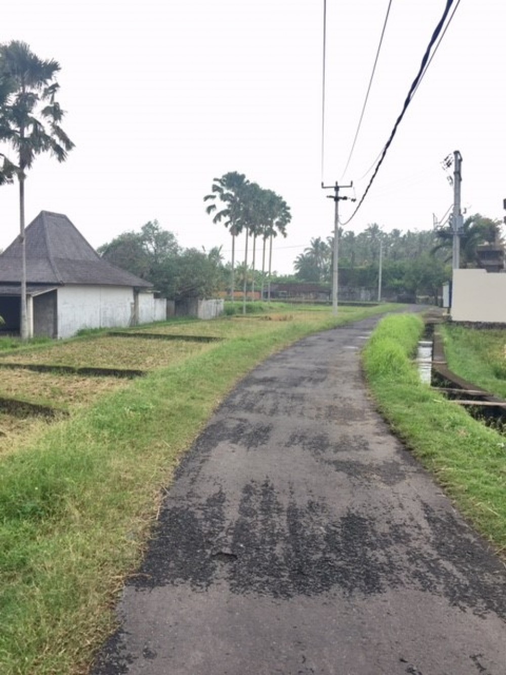 Tanah pinggir pantai yang sangat menakjubkan